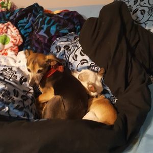 Meet your Posher, Mary